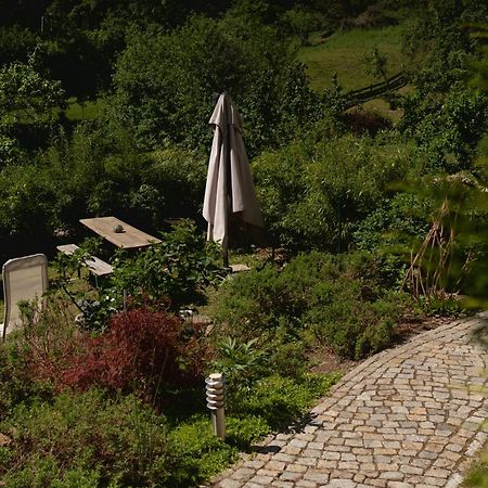 Haus Am Berzdorfer See - 3 Schlafzimmer - Ganzes Haus Zur Alleinnutzung - Terrasse - Hochwertige Ausstattung Герліц Екстер'єр фото