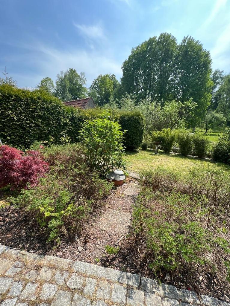 Haus Am Berzdorfer See - 3 Schlafzimmer - Ganzes Haus Zur Alleinnutzung - Terrasse - Hochwertige Ausstattung Герліц Екстер'єр фото